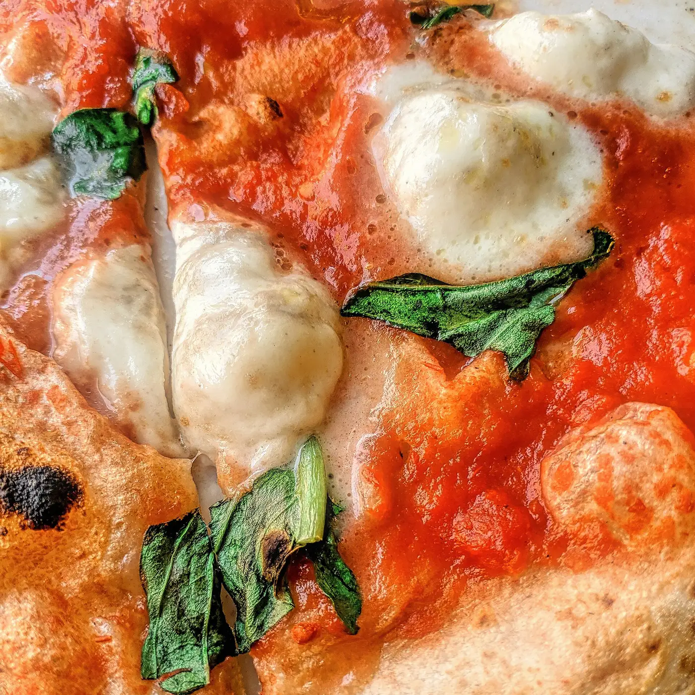 Zbliżenie na roztopioną mozzarellę, sos pomidorowy i liście bazylii